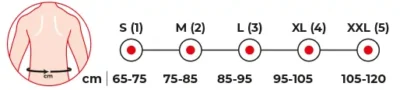 V118 bandazer kljucne kosti – tabela velicina S M L XL XXL (65-75, 75-85, 85-95, 95-105, 105-120 cm)